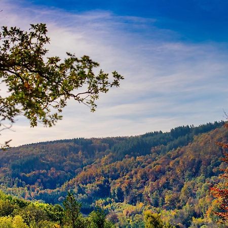 Le Chalet Vresse-sur-Semois Kültér fotó